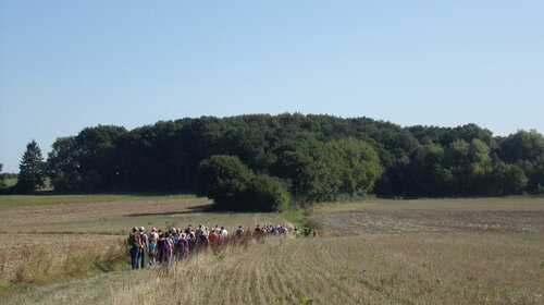 De Bréval à Saint-Illiers-Le-Bois