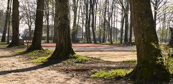 Terrains de Pétanque