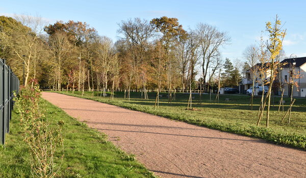 Chemin de l'Allée de la Forêt